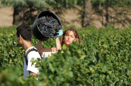 FRANCE-WINE-BORDEAUX FRANCE-WINE-BORDEAUX