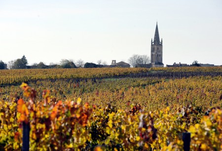 FRANCE-AGRICULTURE-WINE-SAINT-EMILION FRANCE-AGRICULTURE-WINE-SAINT-EMILION