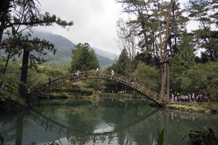 溪头著名景点-大学池。(台大实验林提供)