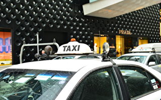 悉尼出租车违规停车接客 市中心十年罚单逾两万