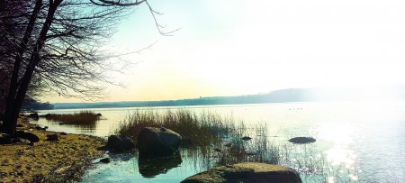 Garvies Point Museum and Preserve(Garvies Point 博物馆提供)