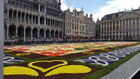 20届布鲁塞尔花地毯在布鲁塞尔大广场上铺开。（大纪元）