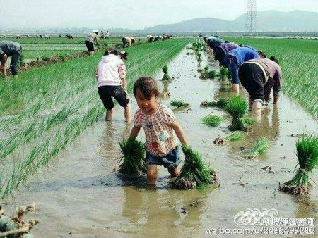 (作者配图)