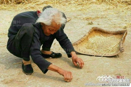 (作者配图)