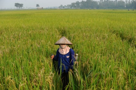 TOPSHOTS-VIETNAM-ECONOMY-GROWTH-INFLATION