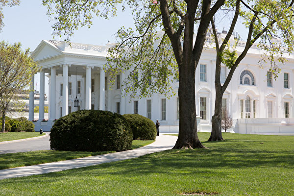 美国的总统府白宫曾禁止过圣诞树等7种事物。图为白宫一景。（李莎/大纪元）