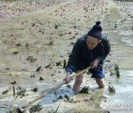 (作者配图)
