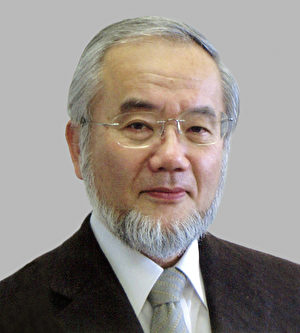 2016年诺贝尔医学奖由日本科家家大隅良典(Yoshinori Ohsumi)一人获得。(AFP PHOTO)