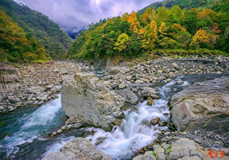 书中美丽的作品:尖石乡秀峦枫叶。(曾进发提供)