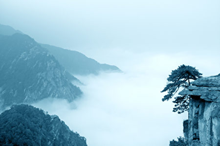 松樹在懸崖上，雲霧廬山，中國