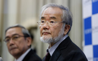 日本贏得這麼多諾貝爾獎 中國人心情複雜