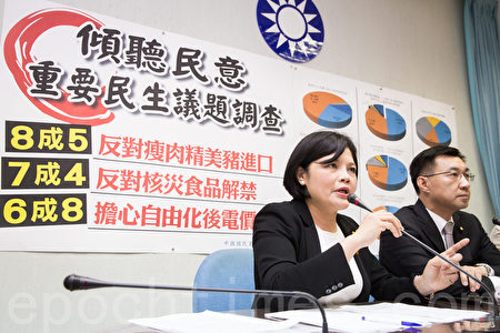 國民黨團15日公布民調,8成5民眾反對瘦肉精美豬進口、7成4民眾反對核災食品解禁、6成8民眾擔心自由化後電價上漲。(陳柏州/大紀元)