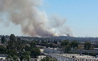 洛杉矶Tujunga爆发灌木野火