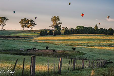 Yarra Vally热气球日出之旅。(Go Wild提供)
