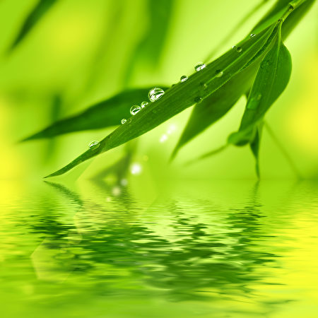 生命的綠色(圖|Fotolia)