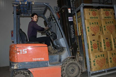 大陆模特儿嫁来台湾 与夫务农打拼幸福美满 大陆模特儿嫁来台湾 与夫务农打拼幸福美满