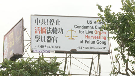 唐人街上耸立的反对活摘广告牌。(杨阳/大纪元)