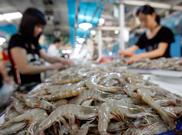 中国是世界上海鲜（包括虾）出口第一大国，但是它有一个巨大的问题，就是抗生素使用过量，其威胁到全球安全。 (TEH ENG KOON/AFP/Getty Images)