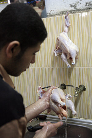 TO GO WITH AFP STORY BY INES BEL AIBA: An Egyptian butcher washes a chicken for a customer at his shop in Damietta, 195 km north of Cairo, 05 December 2008. In the Nile Delta town, where Egypt's latest fatal bird flu victim Hanem Atwa Ibrahim lived, inhabitants fear the authorities more than the virus. Most of the inhabitants of the Ezbet el-Lahm district pay scant attention to the government's campaign against the H5N1 virus which, after a summer respite, killed four people, all women, in the space of a week over New Year. AFP PHOTO/KHALED DESOUKI (Photo credit should read KHALED DESOUKI/AFP/Getty Images)