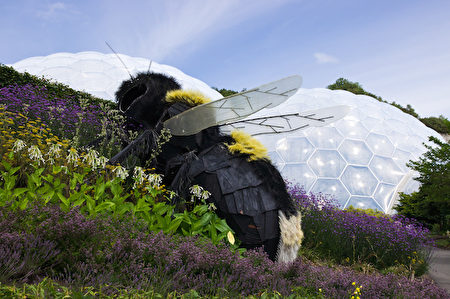 巨大的蜜蜂雕塑（圖片由Eden Project提供）。