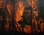 2016加拿大顶级气象 麦堡野火居第一