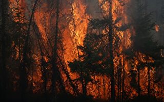 2016加拿大顶级气象 麦堡野火居第一