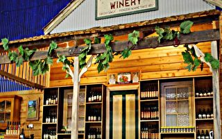 澳洲藍騰酒莊-獨家蜂蜜釀酒工藝鑄就兩百年傳奇