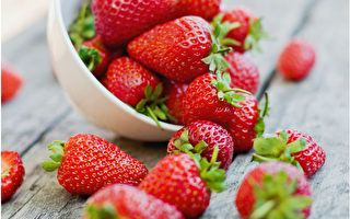 【你好韩国】春天 共赴草莓的飨宴
