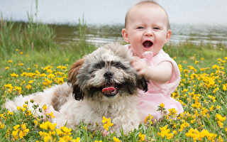 愛的給予者 狗能幫助寶寶的七件事