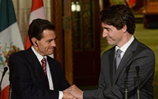 加拿大对墨西哥免签首月 难民激增3.4倍