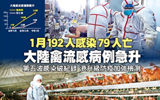 大陸禽流感病例急升  1月192人感染79人亡