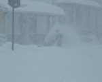 罕见三月暴风雪 纽约客享受浪漫雪景