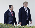 川普(特朗普)总统周一(4月3日)在白宫会见埃及总统塞西(Abdel Fattah al-Sisi)。(Photo by Olivier Douliery-Pool/Getty Images)