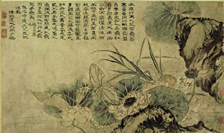 清 石涛《爱莲图》。(公有领域)