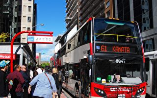 【渥京9·16】市公交推多措施增客流