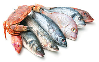 別吃這12種海鮮！為何不要吃 + 吃什麼魚好