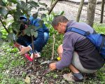 羅東林管處樹藝研習班  提升專業樹木健康管理