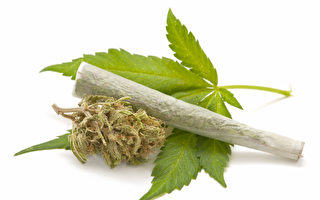 克里斯蒂重申反对大麻合法化