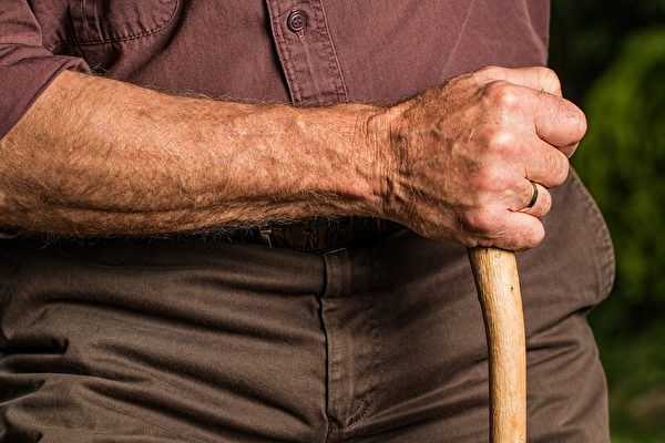 超重的老人多吃纖維，對防治關節炎引起的膝關節疼痛腫脹等症狀尤其有效。(stevepb/pixabay)