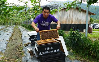 四代養蜂人的堅持 讓蜂蜜自然熟成