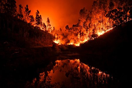 葡萄牙發生嚴重森林大火 已知43人喪生