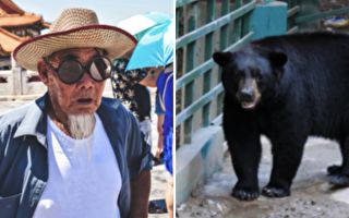 日本85岁老爷爷 为何能击退黑熊？