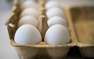 毒雞蛋蔓延歐洲 法國也中招