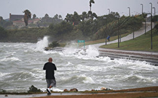 颶風哈維強襲德州 加郵輪無法靠岸遊客受困