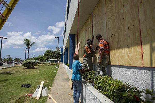 图为9月6日，艾玛飓风抵达多米尼加共和国之前，工人们在修剪树枝。 9月6日艾玛飓风在巴布达低洼地区造成严重洪水。（AFP PHOTO / Erika SANTELICES）