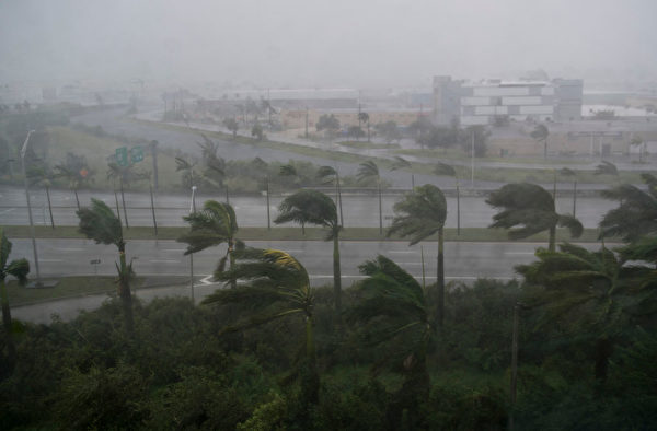 9月10日艾瑪（Irma）颶風給佛羅里達州邁阿密帶來狂風暴雨。艾瑪在9月10日恢復為4級風暴的強度，直撲佛羅里達州。  (SAUL LOEB/AFP/Getty Images)