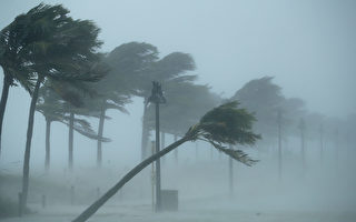 艾玛飓风是个大怪兽 这13件事你需要了解