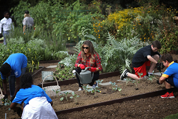 9月22日，美国第一夫人梅拉尼娅（Melania Trump）在白宫花园，和一群孩子种植和收割菜蔬，并强调摄入大量蔬菜和水果的重要性。(Win McNamee/Getty Images)