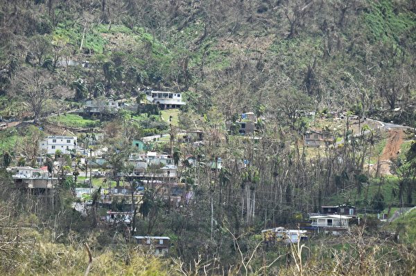 波多黎各森林、農作物亦遭摧毀，需要長期間復育。(HECTOR RETAMAL/AFP/Getty Images)