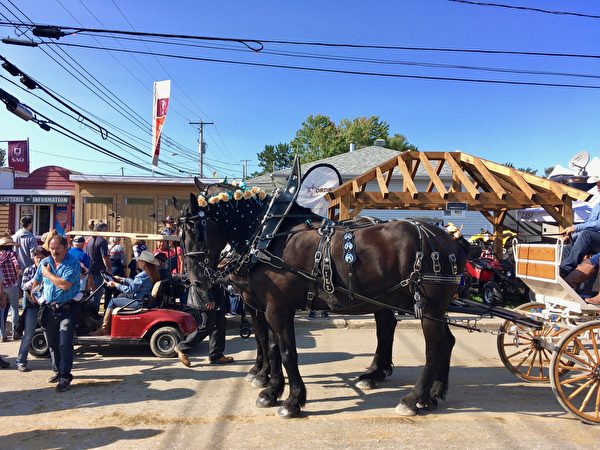 9月10日參加加東聖-梯特牛仔節的遊行活動的馬車。（Félix Boulanger / 大紀元）